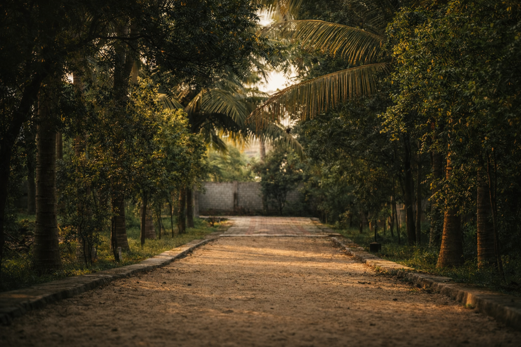 best naturopathy healing center in south india